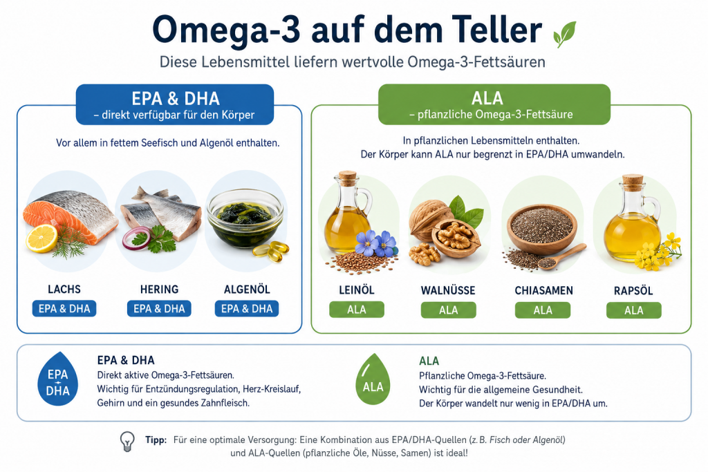 Darstellung von Lebensmitteln, die Omega-3 enthalten
